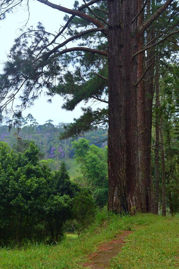 Chacara To Na Roca Villa Ribeirão Pires Kültér fotó